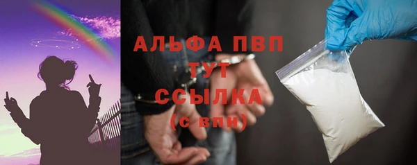 крисы Алзамай