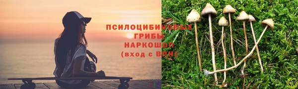 ALPHA PVP Алексеевка