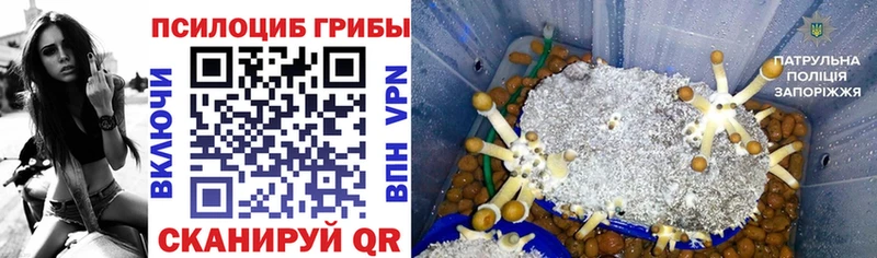 Галлюциногенные грибы Magic Shrooms  цена   Навашино 